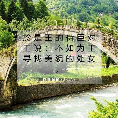 Picture 07 - 以 斯 帖 记 2:2 CUVS - 於 是 王 的 侍 臣 对 王 说 ： 不 如 - Bible Verse Picture