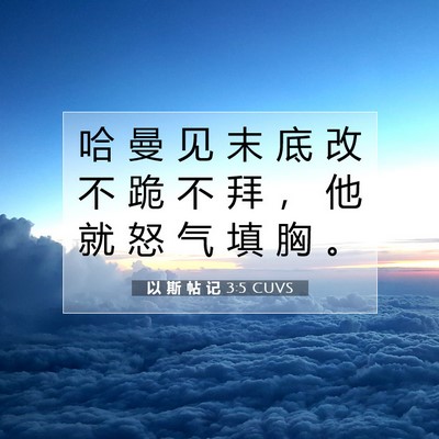 Picture 07 - 以 斯 帖 记 3:5 CUVS - 哈 曼 见 末 底 改 不 跪 不 拜 ， 他 - Bible Verse Picture