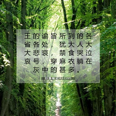 Picture 07 - 以 斯 帖 记 4:3 CUVS - 王 的 谕 旨 所 到 的 各 省 各 处 ， - Bible Verse Picture