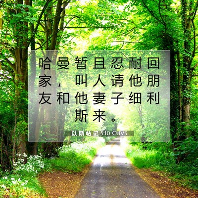 Picture 07 - 以 斯 帖 记 5:10 CUVS - 哈 曼 暂 且 忍 耐 回 家 ， 叫 人 请 - Bible Verse Picture