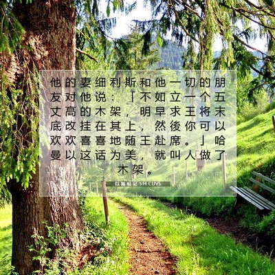 Picture 07 - 以 斯 帖 记 5:14 CUVS - 他 的 妻 细 利 斯 和 他 一 切 的 朋 - Bible Verse Picture