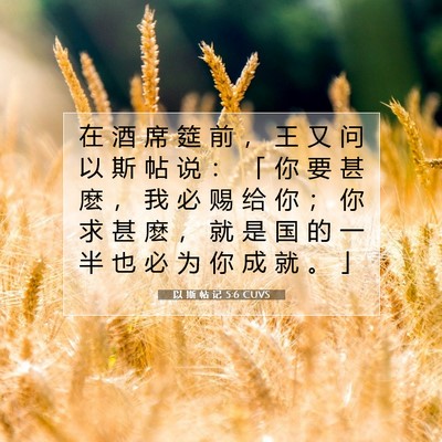 Picture 07 - 以 斯 帖 记 5:6 CUVS - 在 酒 席 筵 前 ， 王 又 问 以 斯 帖 - Bible Verse Picture