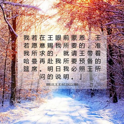 Picture 07 - 以 斯 帖 记 5:8 CUVS - 我 若 在 王 眼 前 蒙 恩 ， 王 若 愿 - Bible Verse Picture