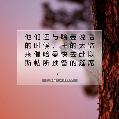 Picture 07 - 以 斯 帖 记 6:14 CUVS - 他 们 还 与 哈 曼 说 话 的 时 候 ， - Bible Verse Picture