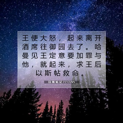 Picture 07 - 以 斯 帖 记 7:7 CUVS - 王 便 大 怒 ， 起 来 离 开 酒 席 往 - Bible Verse Picture