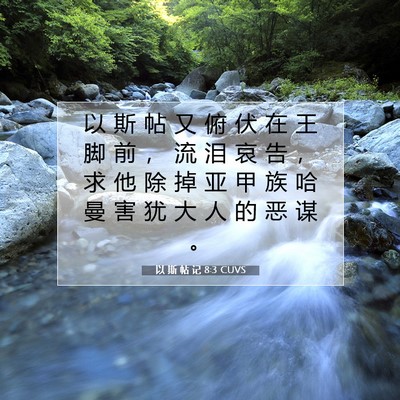 Picture 07 - 以 斯 帖 记 8:3 CUVS - 以 斯 帖 又 俯 伏 在 王 脚 前 ， 流 - Bible Verse Picture