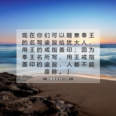 Picture 07 - 以 斯 帖 记 8:8 CUVS - 现 在 你 们 可 以 随 意 奉 王 的 名 - Bible Verse Picture