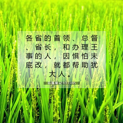 Picture 07 - 以 斯 帖 记 9:3 CUVS - 各 省 的 首 领 、 总 督 、 省 长 ， - Bible Verse Picture