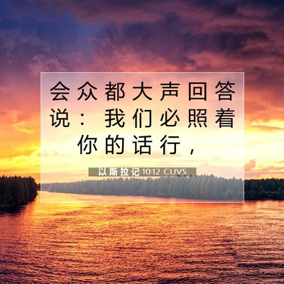 Picture 07 - 以 斯 拉 记 10:12 CUVS - 会 众 都 大 声 回 答 说 ： 我 们 必 - Bible Verse Picture