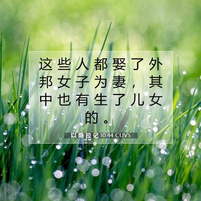 Picture 07 - 以 斯 拉 记 10:44 CUVS - 这 些 人 都 娶 了 外 邦 女 子 为 妻 - Bible Verse Picture