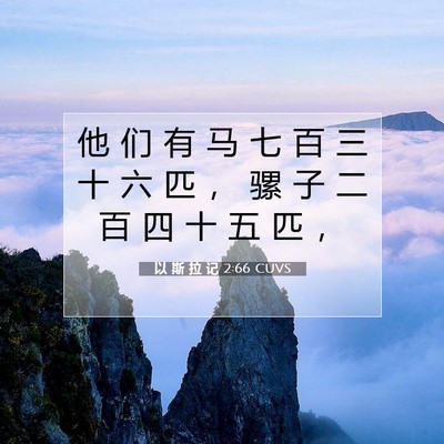 Picture 07 - 以 斯 拉 记 2:66 CUVS - 他 们 有 马 七 百 三 十 六 匹 ， 骡 - Bible Verse Picture