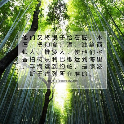 Picture 07 - 以 斯 拉 记 3:7 CUVS - 他 们 又 将 银 子 给 石 匠 、 木 匠 - Bible Verse Picture