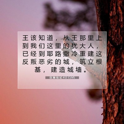 Picture 07 - 以 斯 拉 记 4:12 CUVS - 王 该 知 道 ， 从 王 那 里 上 到 我 - Bible Verse Picture