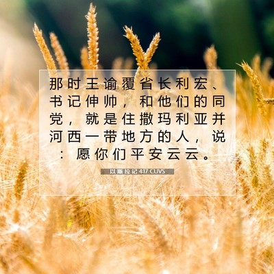 Picture 07 - 以 斯 拉 记 4:17 CUVS - 那 时 王 谕 覆 省 长 利 宏 、 书 记 - Bible Verse Picture