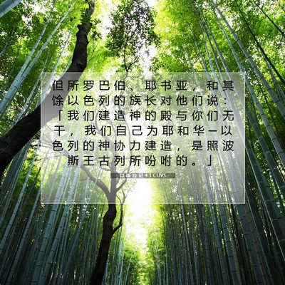 Picture 07 - 以 斯 拉 记 4:3 CUVS - 但 所 罗 巴 伯 、 耶 书 亚 ， 和 其 - Bible Verse Picture
