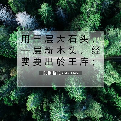 Picture 07 - 以 斯 拉 记 6:4 CUVS - 用 三 层 大 石 头 ， 一 层 新 木 头 - Bible Verse Picture