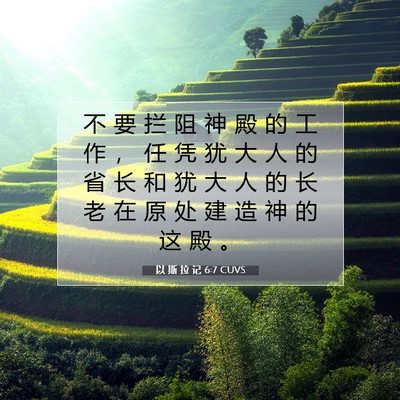 Picture 07 - 以 斯 拉 记 6:7 CUVS - 不 要 拦 阻 神 殿 的 工 作 ， 任 凭 - Bible Verse Picture