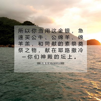 Picture 07 - 以 斯 拉 记 7:17 CUVS - 所 以 你 当 用 这 金 银 ， 急 速 买 - Bible Verse Picture