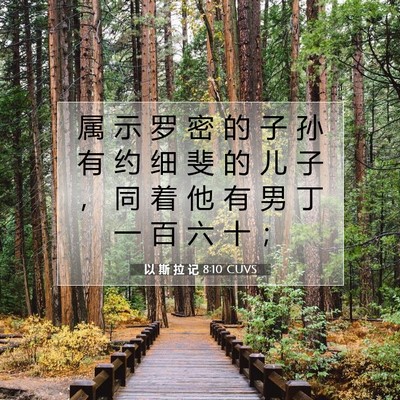 Picture 07 - 以 斯 拉 记 8:10 CUVS - 属 示 罗 密 的 子 孙 有 约 细 斐 的 - Bible Verse Picture