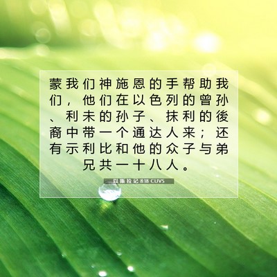 Picture 07 - 以 斯 拉 记 8:18 CUVS - 蒙 我 们 神 施 恩 的 手 帮 助 我 们 - Bible Verse Picture