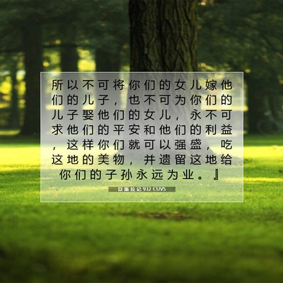 Picture 07 - 以 斯 拉 记 9:12 CUVS - 所 以 不 可 将 你 们 的 女 儿 嫁 他 - Bible Verse Picture