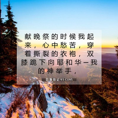 Picture 07 - 以 斯 拉 记 9:5 CUVS - 献 晚 祭 的 时 候 我 起 来 ， 心 中 - Bible Verse Picture