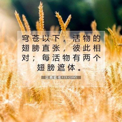 Picture 07 - 以 西 结 书 1:23 CUVS - 穹 苍 以 下 ， 活 物 的 翅 膀 直 张 - Bible Verse Picture