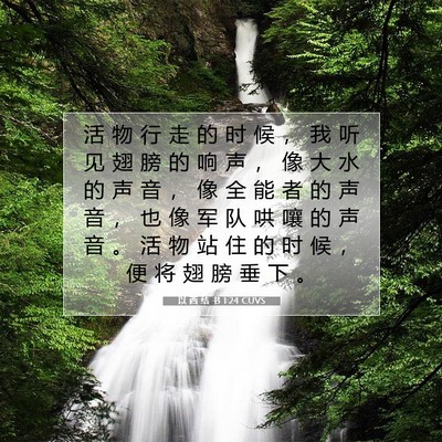 Picture 07 - 以 西 结 书 1:24 CUVS - 活 物 行 走 的 时 候 ， 我 听 见 翅 - Bible Verse Picture