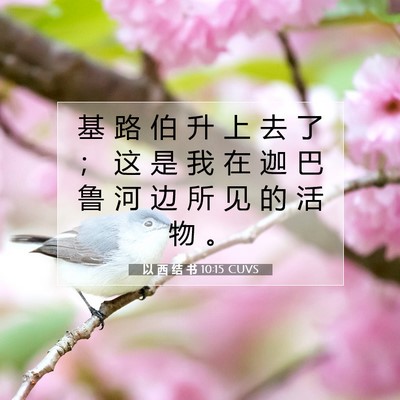 Picture 07 - 以 西 结 书 10:15 CUVS - 基 路 伯 升 上 去 了 ； 这 是 我 在 - Bible Verse Picture