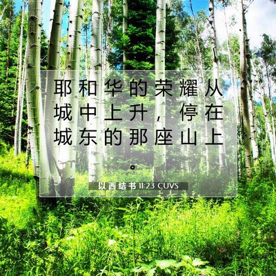 Picture 07 - 以 西 结 书 11:23 CUVS - 耶 和 华 的 荣 耀 从 城 中 上 升 ， - Bible Verse Picture