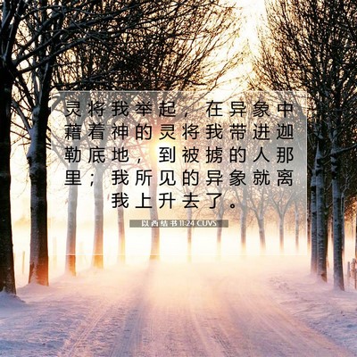 Picture 07 - 以 西 结 书 11:24 CUVS - 灵 将 我 举 起 ， 在 异 象 中 藉 着 - Bible Verse Picture