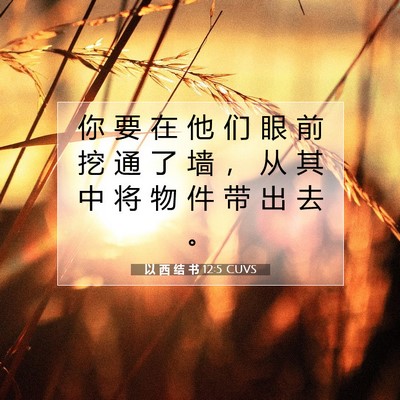 Picture 07 - 以 西 结 书 12:5 CUVS - 你 要 在 他 们 眼 前 挖 通 了 墙 ， - Bible Verse Picture