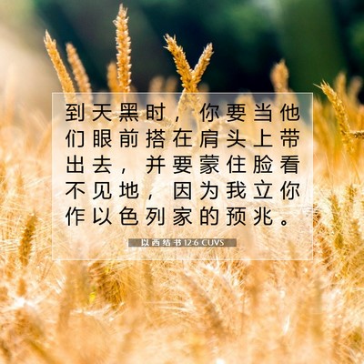 Picture 07 - 以 西 结 书 12:6 CUVS - 到 天 黑 时 ， 你 要 当 他 们 眼 前 - Bible Verse Picture