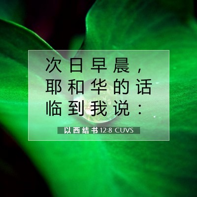 Picture 07 - 以 西 结 书 12:8 CUVS - 次 日 早 晨 ， 耶 和 华 的 话 临 到 - Bible Verse Picture