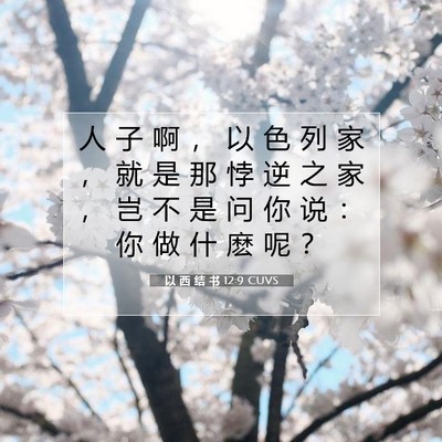 Picture 07 - 以 西 结 书 12:9 CUVS - 人 子 啊 ， 以 色 列 家 ， 就 是 那 - Bible Verse Picture