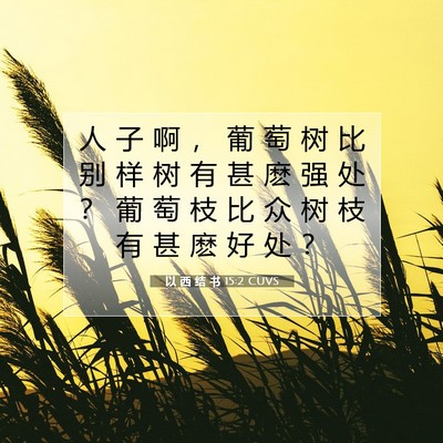 Picture 07 - 以 西 结 书 15:2 CUVS - 人 子 啊 ， 葡 萄 树 比 别 样 树 有 - Bible Verse Picture