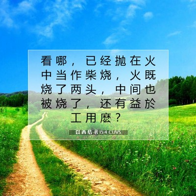 Picture 07 - 以 西 结 书 15:4 CUVS - 看 哪 ， 已 经 抛 在 火 中 当 作 柴 - Bible Verse Picture
