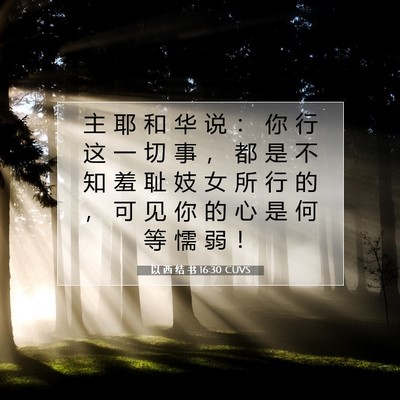 Picture 07 - 以 西 结 书 16:30 CUVS - 主 耶 和 华 说 ： 你 行 这 一 切 事 - Bible Verse Picture