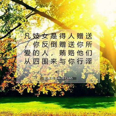 Picture 07 - 以 西 结 书 16:33 CUVS - 凡 妓 女 是 得 人 赠 送 ， 你 反 倒 - Bible Verse Picture