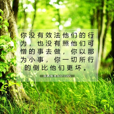 Picture 07 - 以 西 结 书 16:47 CUVS - 你 没 有 效 法 他 们 的 行 为 ， 也 - Bible Verse Picture
