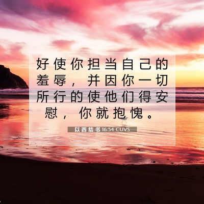 Picture 07 - 以 西 结 书 16:54 CUVS - 好 使 你 担 当 自 己 的 羞 辱 ， 并 - Bible Verse Picture