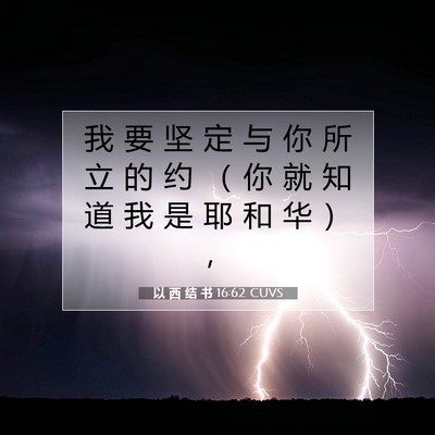Picture 07 - 以 西 结 书 16:62 CUVS - 我 要 坚 定 与 你 所 立 的 约 （ 你 - Bible Verse Picture