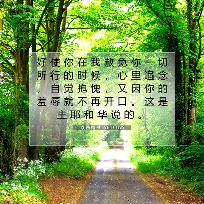 Picture 07 - 以 西 结 书 16:63 CUVS - 好 使 你 在 我 赦 免 你 一 切 所 行 - Bible Verse Picture