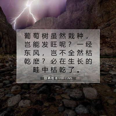 Picture 07 - 以 西 结 书 17:10 CUVS - 葡 萄 树 虽 然 栽 种 ， 岂 能 发 旺 - Bible Verse Picture