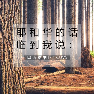 Picture 07 - 以 西 结 书 17:11 CUVS - 耶 和 华 的 话 临 到 我 说 - Bible Verse Picture