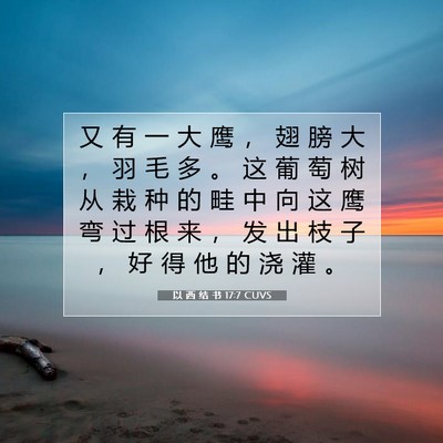 Picture 07 - 以 西 结 书 17:7 CUVS - 又 有 一 大 鹰 ， 翅 膀 大 ， 羽 毛 - Bible Verse Picture