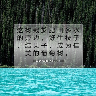 Picture 07 - 以 西 结 书 17:8 CUVS - 这 树 栽 於 肥 田 多 水 的 旁 边 ， - Bible Verse Picture