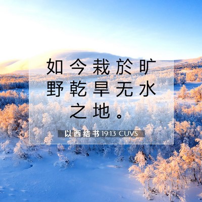 Picture 07 - 以 西 结 书 19:13 CUVS - 如 今 栽 於 旷 野 乾 旱 无 水 之 地 - Bible Verse Picture