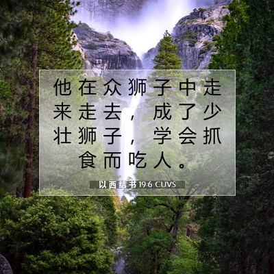 Picture 07 - 以 西 结 书 19:6 CUVS - 他 在 众 狮 子 中 走 来 走 去 ， 成 - Bible Verse Picture