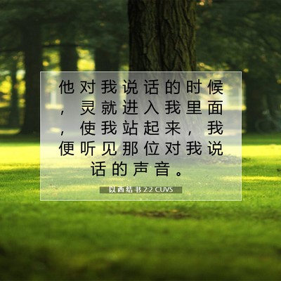 Picture 07 - 以 西 结 书 2:2 CUVS - 他 对 我 说 话 的 时 候 ， 灵 就 进 - Bible Verse Picture